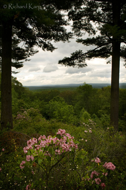 Pine Creek - Richard Karp_1