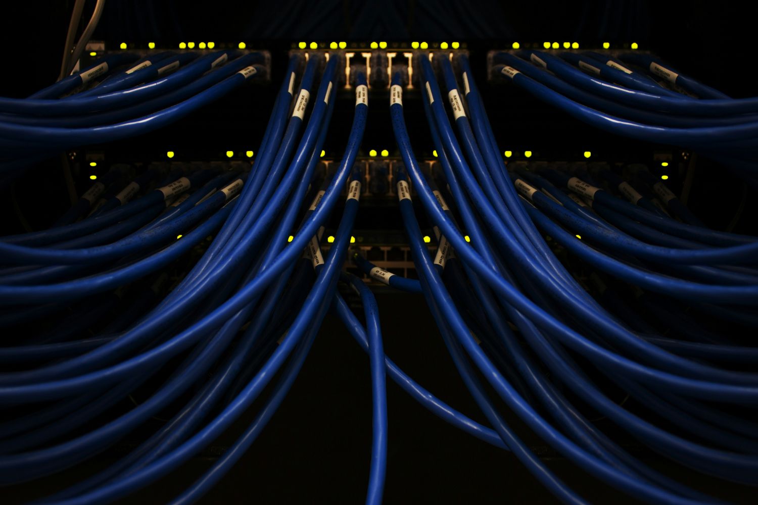 Close-up of blue Ethernet cables plugged into a network switch, with indicator lights glowing, inside a data center server rack.