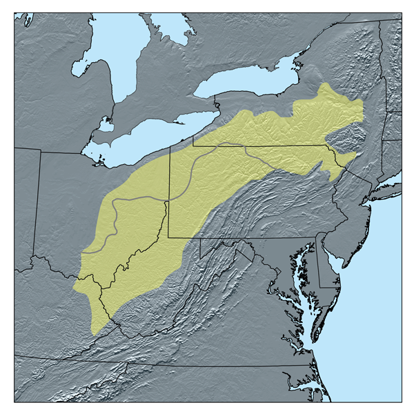 the allegheny plateau
